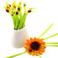 Kiwoo Grass Insect Wiggle Pen - KIQOO